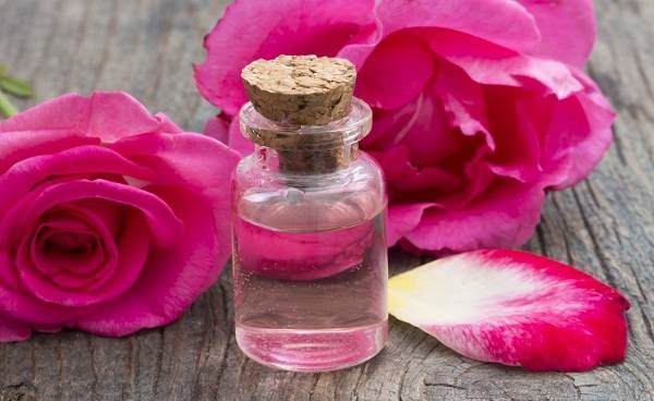 تولید اسانس گل محمدی